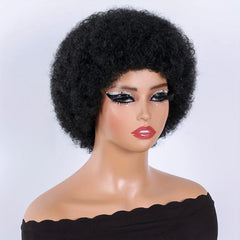 Afro Kinky Curly Wigs Short Fluffy Hair Synthetic Wig for Women