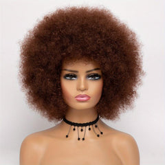 70s Afro Curly Wig with Bangs 25.4cm Synthetic Hair