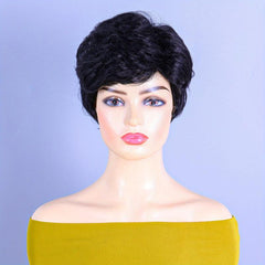 Short Pixie Cut Wigs 24cm, Wavy Synthetic Hair Replacement for Women