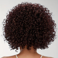 Short Curly Wavy Hair Wigs for Women