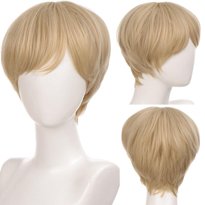 Short Straight Hair Men's Wig Synthetic Wig for Role Play Party