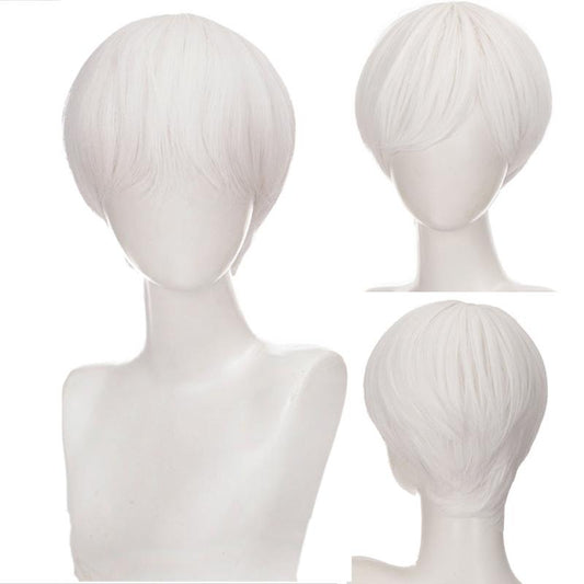 Short Straight Hair Men's Wig Synthetic Wig for Role Play Party