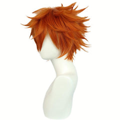 Short Brown Blonde Straight Men's Wig for Cosplay Party