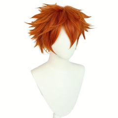 Short Brown Blonde Straight Men's Wig for Cosplay Party