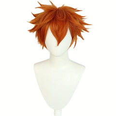 Short Brown Blonde Straight Men's Wig for Cosplay Party