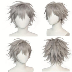 Gray Straight Anime Cosplay Wig For Halloween School Party
