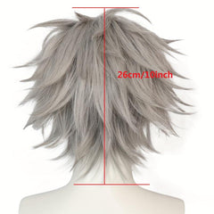Gray Straight Anime Cosplay Wig For Halloween School Party