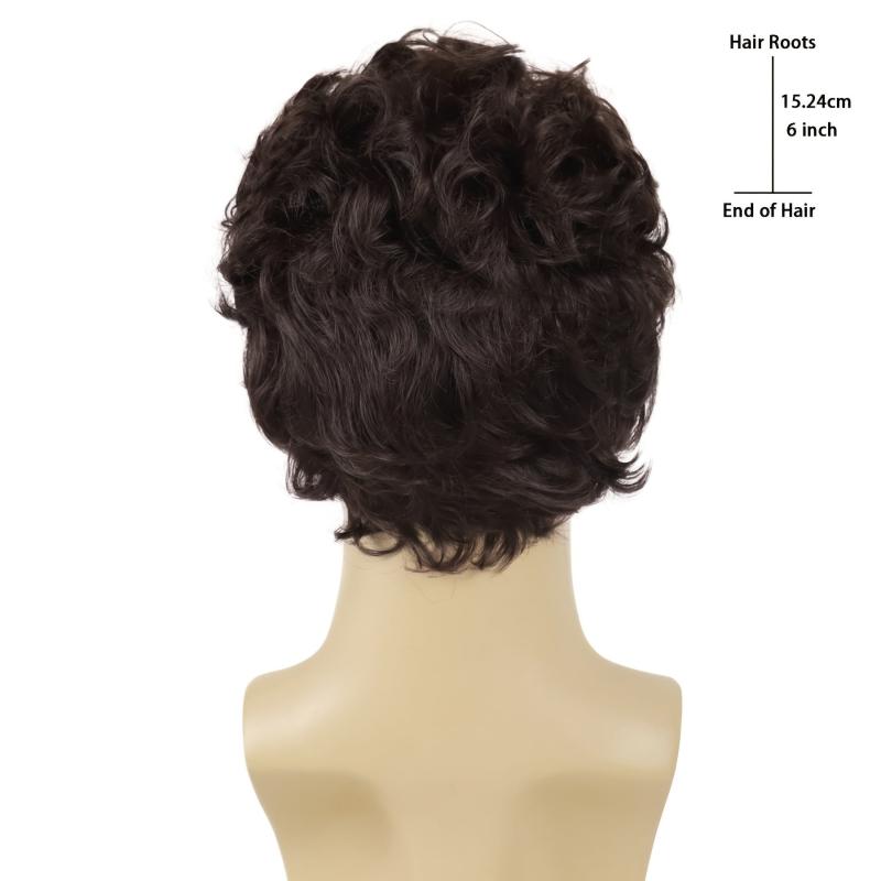 Short Curly Wigs Brown Synthetic Loose Curly Hair Male Wig