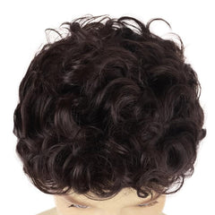 Short Curly Wigs Brown Synthetic Loose Curly Hair Male Wig