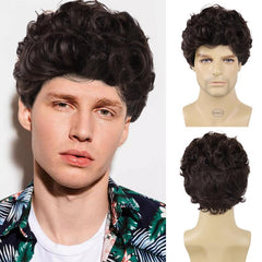 Short Curly Wigs Brown Synthetic Loose Curly Hair Male Wig