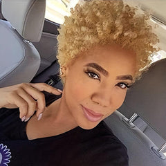 24 Cm Afro Curly Kinky Synthetic Lace Wigs for Women
