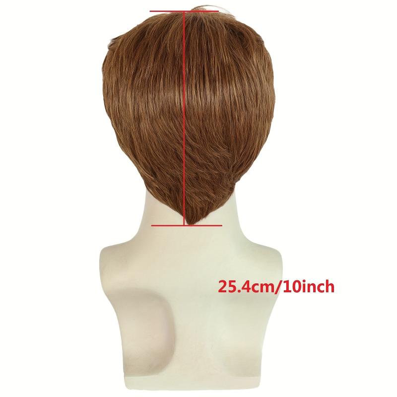 Brown Straight Hair Wigs 25.4 cm Short Fiber Wigs for Men Cosplay Party