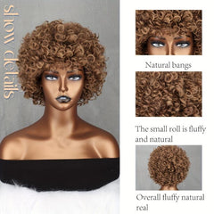 Afro Kinky Curly Hair Wigs for Women Soft Fluffy 70s 80s Wigs Synthetic Fiber