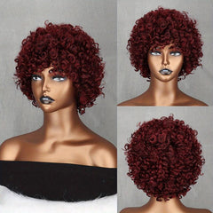 Afro Kinky Curly Hair Wigs for Women Soft Fluffy 70s 80s Wigs Synthetic Fiber
