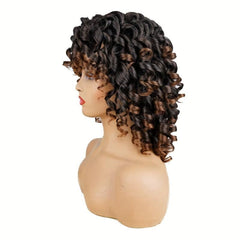 Loose Curly Wigs For Women Afro Wig For Women Curly Wig For Women