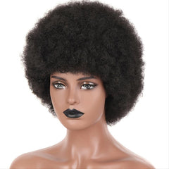 30 48 Cm Afro Kinky Curly Wigs For Women Fluffy Soft Natural Looking Full Wigs