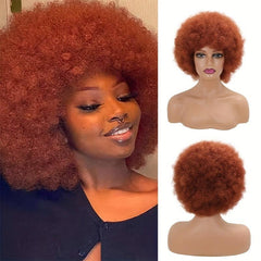 Afro Curly Synthetic Wig For Women Classic Fashionable Daily Party