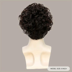 20 32 Cm Brown Short Curly Hair Wigs For Men - Fluffy Synthetic Wig for Party