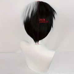 Half Half Straight Hair Cosplay Wigs Synthetic Fiber Anime Wigs & Wig Cap