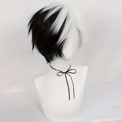 Half Half Straight Hair Cosplay Wigs Synthetic Fiber Anime Wigs & Wig Cap