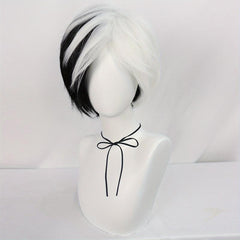 Half Half Straight Hair Cosplay Wigs Synthetic Fiber Anime Wigs & Wig Cap