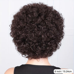 Afro Kinky Curly Human Hair Wig Short Pixie Cut Brazilian Brown Full Wig