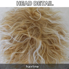 Brown Mixed Wavy Synthetic Cosplay Wig For Party Halloween
