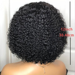 Fluffy African Short Curly Hair Synthetic Wig