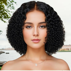 Fluffy African Short Curly Hair Synthetic Wig
