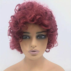 Soft Afro Curly Kinky Hair Wig For Women Girls Synthetic Rose Net Wig