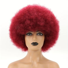 Curly Afro Wig Soft Natural Looking Puffy Full Wig for Women