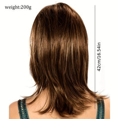 Layered Highlight Straight Wig With Bangs Synthetic Wig Heat Resistant