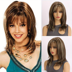 Layered Highlight Straight Wig With Bangs Synthetic Wig Heat Resistant