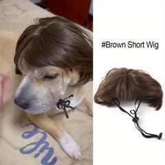 Pet Wigs Funny Cat And Dog Cross Dressing Hair Set Photography Halloween