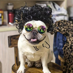 Pet Wigs Funny Cat And Dog Cross Dressing Hair Set Photography Halloween