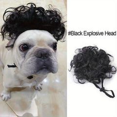 Pet Wigs Funny Cat And Dog Cross Dressing Hair Set Photography Halloween