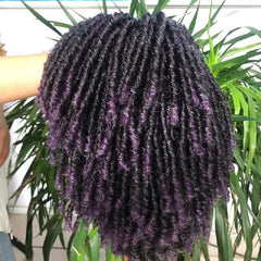 Short Afro Curly Twist Wigs For Women And Men