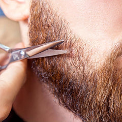 Stainless Steel Beard Scissors Round Tip Hair Scissors