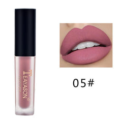 Matte Nude Lipstick Moisturizer Lip Gloss