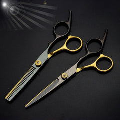 Professional Stainless Steel Hair Cutting Scissors Thinning Shears