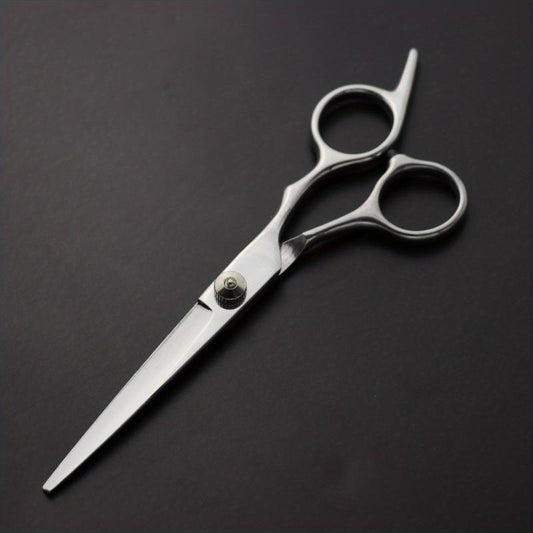 Professional Stainless Steel Hair Cutting Scissors Shears