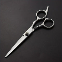 Professional Stainless Steel Hair Cutting Scissors Shears