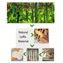 2pcs Natural Loofah Pads Face Exfoliator Scrubber Handheld Luffa Pad Sponges