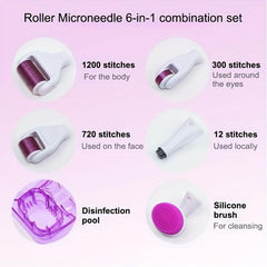 6 in 1 Derma Roller Kit for Face and Body Micro Needle with 5 Heads