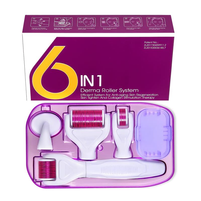 6 in 1 Derma Roller Kit for Face and Body Micro Needle with 5 Heads
