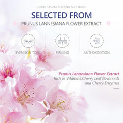 Sakura Moisturizing Sleeping Face Mask Cream