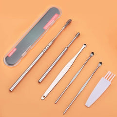 Stainless Steel Ear Wax Remover Kit with Brush & Storage Box