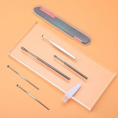 Stainless Steel Ear Wax Remover Kit with Brush & Storage Box