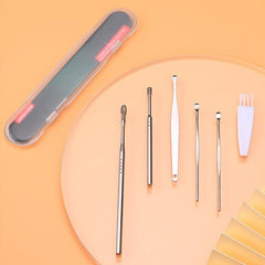 Stainless Steel Ear Wax Remover Kit with Brush & Storage Box