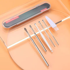 Stainless Steel Ear Wax Remover Kit with Brush & Storage Box